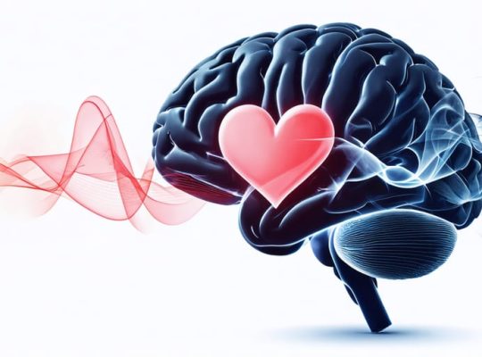 Illustration depicting a human brain and heart intertwined with vapor trails, symbolizing the impact of vaping on cardiovascular health and stroke recovery.