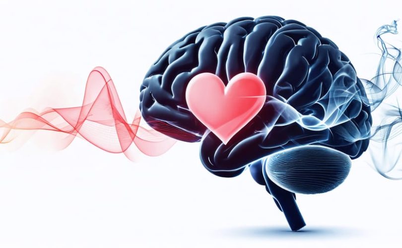 Illustration depicting a human brain and heart intertwined with vapor trails, symbolizing the impact of vaping on cardiovascular health and stroke recovery.